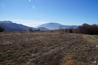 Прикрепленное изображение: A58DSC01533-1.jpg